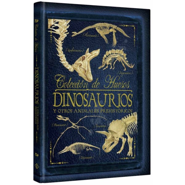 Colección de huesos Dinosaurios