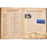 Colección de huesos Dinosaurios