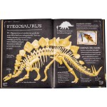 Colección de huesos Dinosaurios