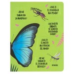 Busca y Encuentra – Insectos c/Linterna