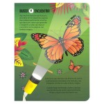 Busca y Encuentra – Insectos c/Linterna